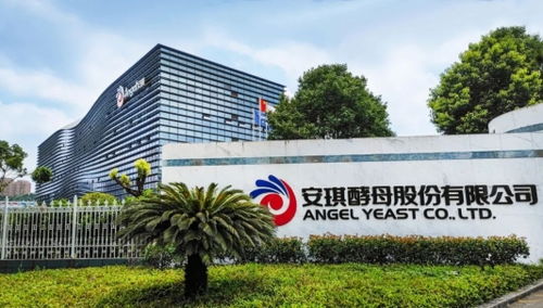 新陣線酵母營養復合肥 酵母科技賦能西南種植